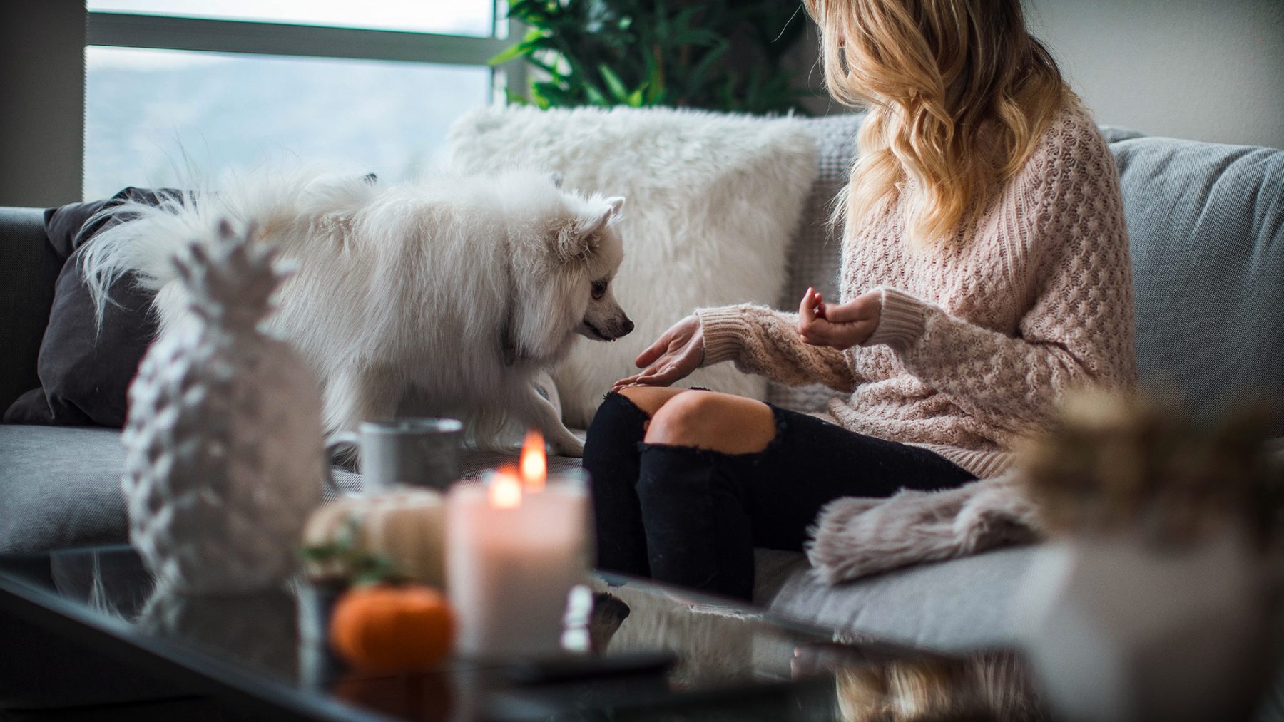 Pet owner keeps their dog safe from harm while a scented candle burns nearby.